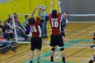Volleyball:  Cgep de Sherbrooke