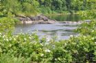 Ouverture officielle des Jardins de la Saint-Fran�ois