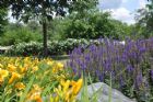 Ouverture officielle des Jardins de la Saint-Fran�ois