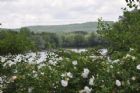 Ouverture officielle des Jardins de la Saint-Fran�ois
