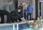 Visite du nouveau complexe aquatique de l'Universit de Sherbrooke