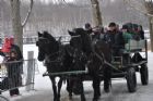 Carnaval de Sherbrooke