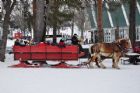 Carnaval de Sherbrooke