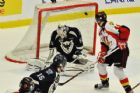 Phoenix contre les Drakkar  Palais des sports de Sherbrooke