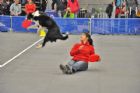 Salon national des animaux de compagnie