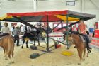 Salon national des animaux de compagnie