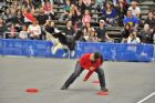 Salon national des animaux de compagnie