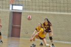 Championnat scolaire provincial de volleyball  Sherbrooke