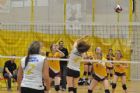 Championnat scolaire provincial de volleyball  Sherbrooke
