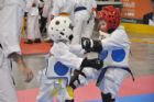 Comp�tition Est  Canadienne de karat� koshiki - Sherbrooke