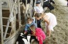 Les visites  la ferme dans le HSF