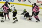 Le Phoenix accueille les Foreurs de Val-D'or