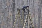 Course Bootcamp-race Sherbrooke