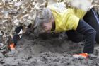 Course Bootcamp-race Sherbrooke