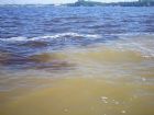LAmazonie : une terre deau