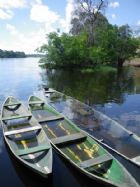 LAmazonie : une terre deau