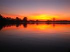 LAmazonie : une terre deau