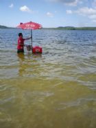 LAmazonie : une terre deau