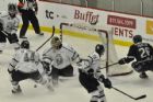 Le Phoenix accueille les Olympiques de Gatineau