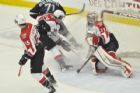 Voltigeurs de Drummondville   Phoenix de Sherbrooke