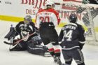 Voltigeurs de Drummondville   Phoenix de Sherbrooke