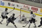 Olympiques de Gatineau vs Phoenix de Sherbrooke