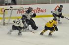 Cataractes de Shawinigan VS Phoenix de Sherbrooke