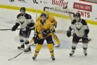 Cataractes de Shawinigan VS Phoenix de Sherbrooke