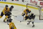 Cataractes de Shawinigan VS Phoenix de Sherbrooke