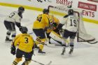 Cataractes de Shawinigan VS Phoenix de Sherbrooke