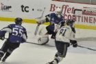 Sea Dogs de Saint John VS Phoenix de Sherbrooke