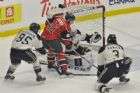 Mooseheads d'Halifax VS Phoenix de Sherbrooke