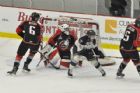 Le Phoenix accueille les Huskies de Rouyn-Noranda