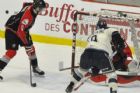 Le Phoenix accueille les Huskies de Rouyn-Noranda