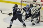 Saguenens de Chicoutimi vs Phoenix de Sherbrooke