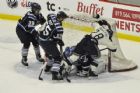 Saguenens de Chicoutimi vs Phoenix de Sherbrooke
