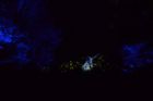 Foresta Lumina Coaticook
