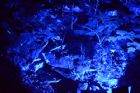 Foresta Lumina Coaticook