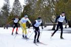 Coupe Qubec  luniversit Bishops