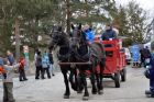 Carnaval de  Sherbrooke