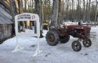 Visite  la cabane  sucre