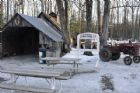 Visite  la cabane  sucre