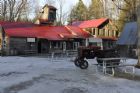 Visite  la cabane  sucre