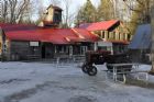 Visite  la cabane  sucre