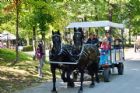 Rendez-vous Howard Sherbrooke