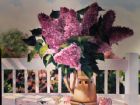 68e vernissage 1987-2009 - Raymond Chabot Grant Thornton