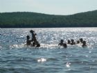 Camp nature Lac Magill - Ste-Marguerite-de-Lingwick