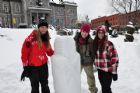 Sculptures sur neige Mont Notre-Dame Sherbrooke