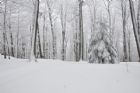 Sanctuaire De Beauvoir - Sherbrooke