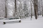 Sanctuaire De Beauvoir - Sherbrooke